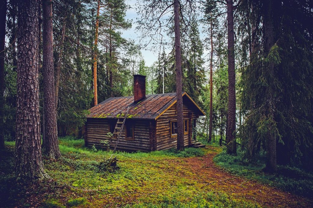 Log Cabin in thr Wood s